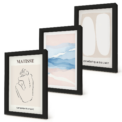 Framed triptych Matisse's abstract forms and delicate colors