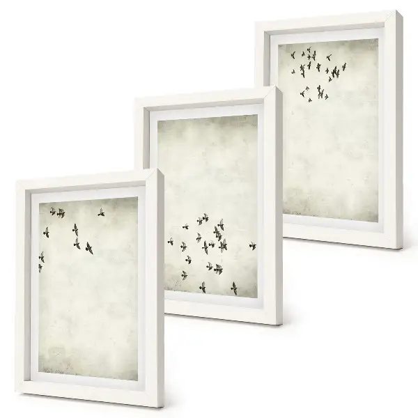3-piece wall art set minimalist painting of flying birds