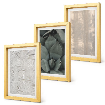 Photo frame wall Summer textures close-up in a tropical climate