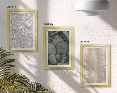 Photo frame wall Summer textures close-up in a tropical climate