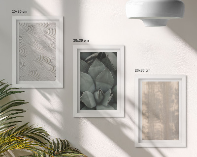 Photo frame wall Summer textures close-up in a tropical climate
