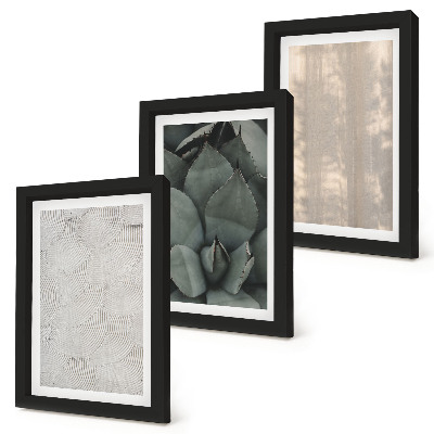 Photo frame wall Summer textures close-up in a tropical climate