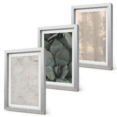 Photo frame wall Summer textures close-up in a tropical climate