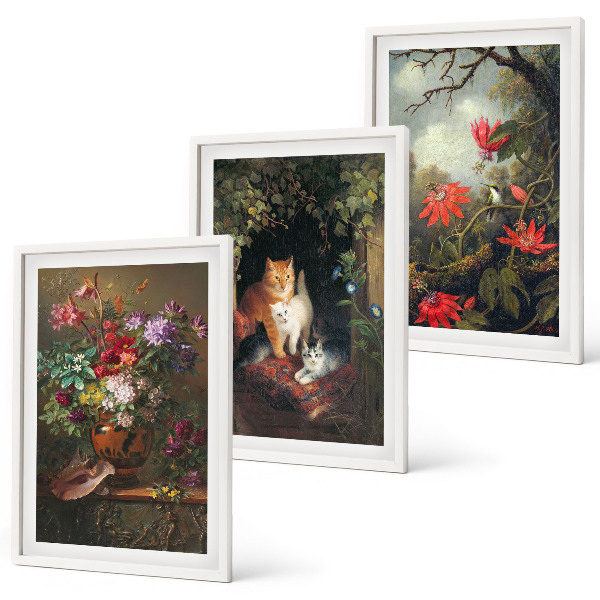 Set of 3 framed wall art pieces Vintage flowers cats nature