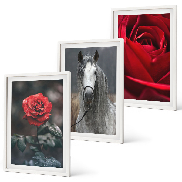 Set of 3 framed wall art pieces Red roses horse gray world