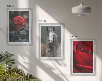 Set of 3 framed wall art pieces featuring a red roses and gray horse world theme