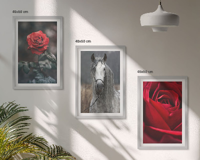 Set of 3 framed wall art pieces Red roses horse gray world