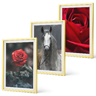 Set of 3 framed wall art pieces Red roses horse gray world