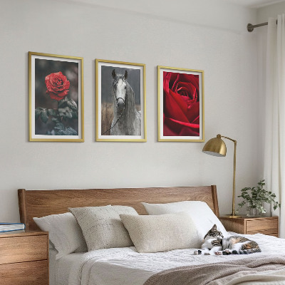 Set of 3 framed wall art pieces Red roses horse gray world