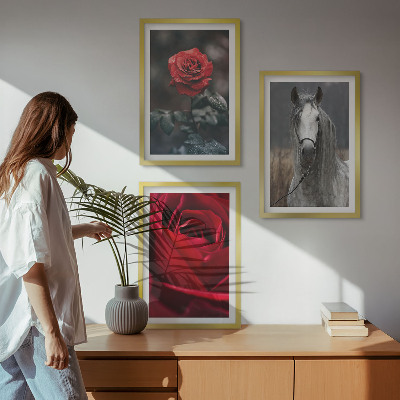 Set of 3 framed wall art pieces Red roses horse gray world