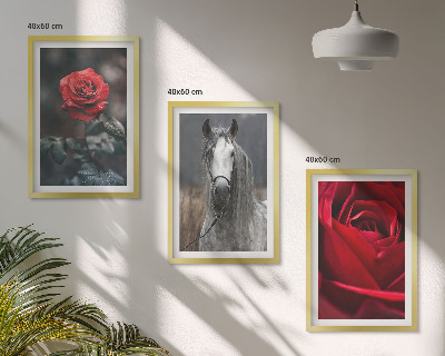 Set of 3 framed wall art pieces Red roses horse gray world