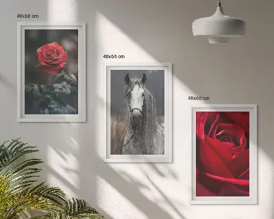 Set of 3 framed wall art pieces featuring a red roses and gray horse world theme