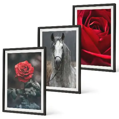 Set of 3 framed wall art pieces featuring a red roses and gray horse world theme