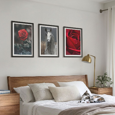 Set of 3 framed wall art pieces Red roses horse gray world