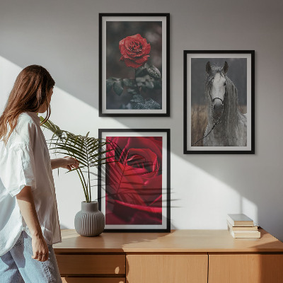 Set of 3 framed wall art pieces Red roses horse gray world
