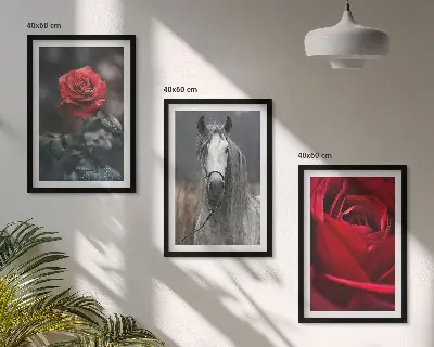 Set of 3 framed wall art pieces featuring a red roses and gray horse world theme