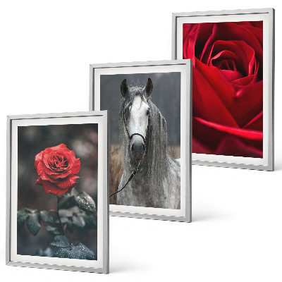 Set of 3 framed wall art pieces Red roses horse gray world
