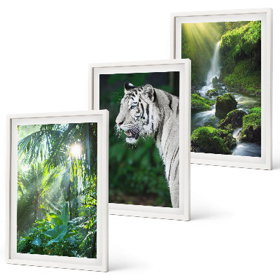 Set of 3 framed wall art pieces Jungle tiger waterfall