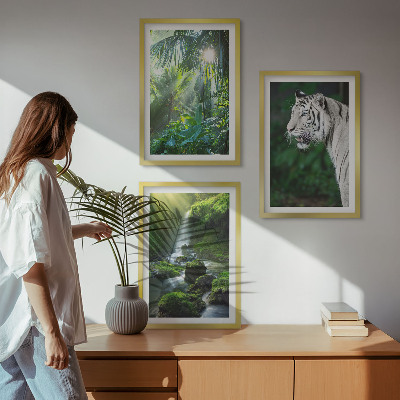 Set of 3 framed wall art pieces Jungle tiger waterfall
