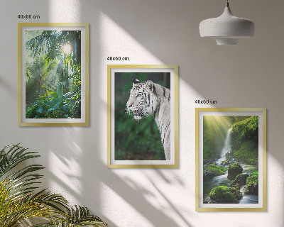 Set of 3 framed wall art pieces Jungle tiger waterfall