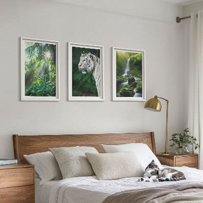 Set of 3 framed wall art pieces Jungle tiger waterfall