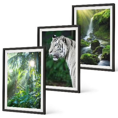Set of 3 framed wall art pieces Jungle tiger waterfall