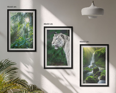 Set of 3 framed wall art pieces Jungle tiger waterfall
