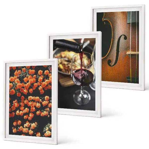Wall art set vintage flowers with violin and wine design