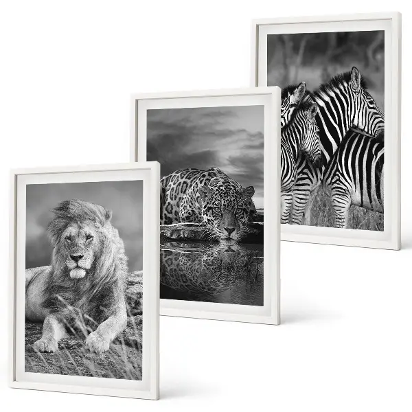 Set of 3 framed wall art pieces featuring wild savannah animals