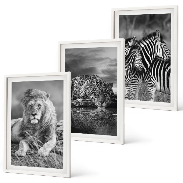 Set of 3 framed wall art pieces Wild animals of the savannah