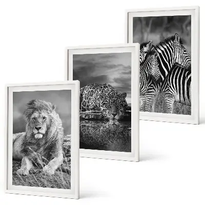 Set of 3 framed wall art pieces featuring wild savannah animals