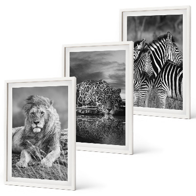Set of 3 framed wall art pieces Wild animals of the savannah
