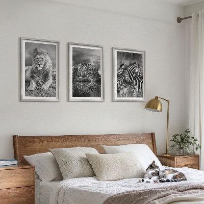 Set of 3 framed wall art pieces Wild animals of the savannah