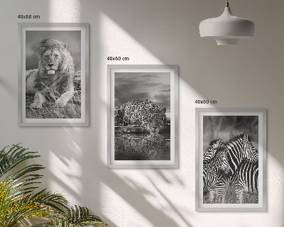 Set of 3 framed wall art pieces Wild animals of the savannah