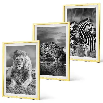 Set of 3 framed wall art pieces featuring wild savannah animals