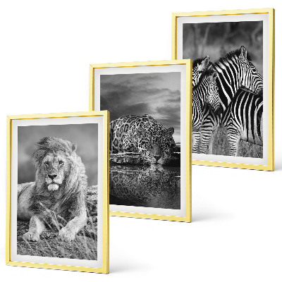 Set of 3 framed wall art pieces Wild animals of the savannah