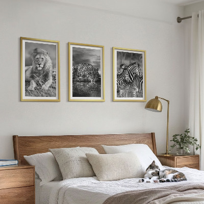 Set of 3 framed wall art pieces Wild animals of the savannah