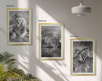 Set of 3 framed wall art pieces Wild animals of the savannah