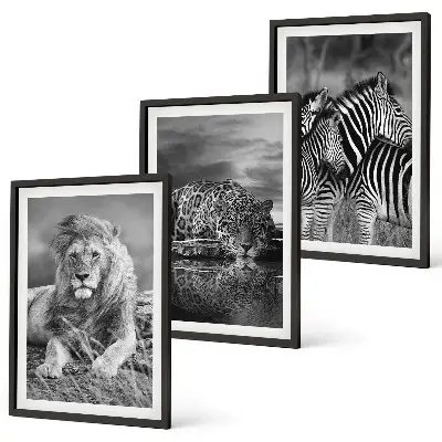 Set of 3 framed wall art pieces featuring wild savannah animals