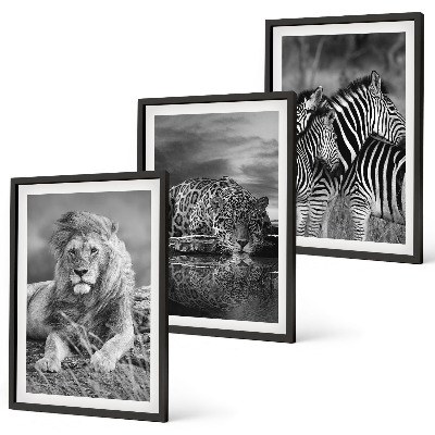Set of 3 framed wall art pieces Wild animals of the savannah