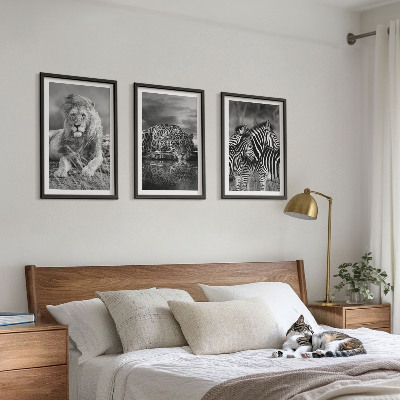 Set of 3 framed wall art pieces Wild animals of the savannah