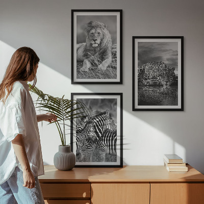 Set of 3 framed wall art pieces Wild animals of the savannah