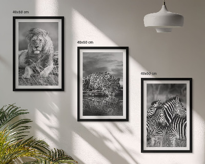Set of 3 framed wall art pieces Wild animals of the savannah