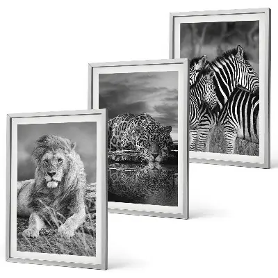 Set of 3 framed wall art pieces featuring wild savannah animals