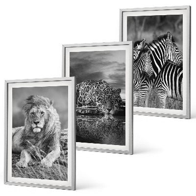 Set of 3 framed wall art pieces Wild animals of the savannah