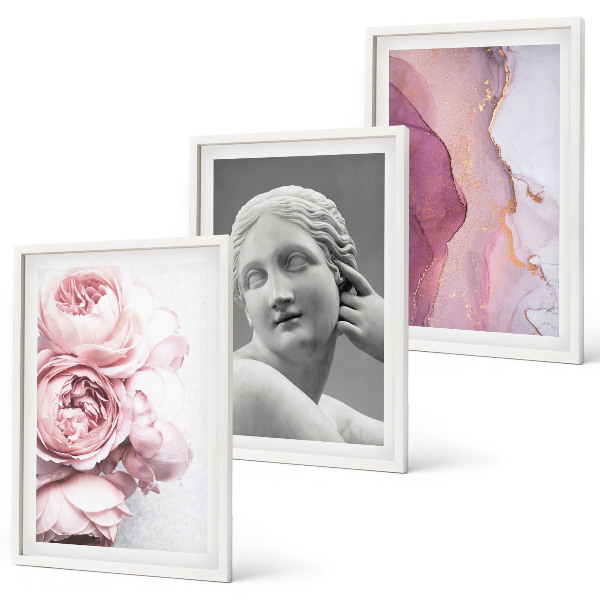 Set of 3 framed wall art pieces Peonies abstract woman sculpture