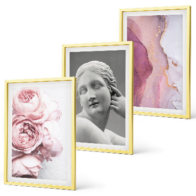 Set of 3 framed wall art pieces Peonies abstract woman sculpture
