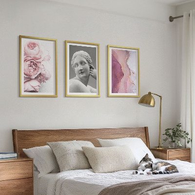 Set of 3 framed wall art pieces Peonies abstract woman sculpture
