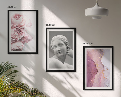 Set of 3 framed wall art pieces Peonies abstract woman sculpture