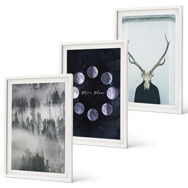 Set of 3 framed wall art pieces Forest landscape fog moon deer skull